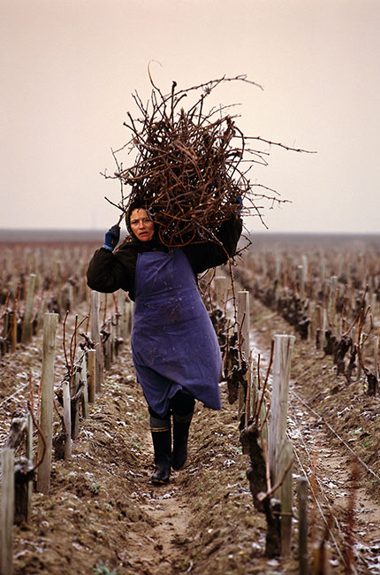 Mick Rock, Wine Photographer