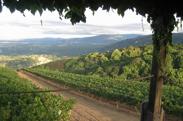 Burgundy style California