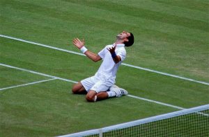 Novak Djokovic, Djokovic vineyard