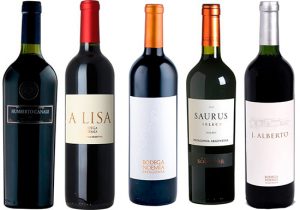 Patagonian Malbec wines