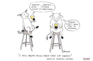 Lautrec, wine quote, cows, decanter