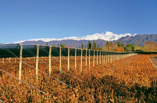 Bodega-Terrazas-de-los-Andes-in-Argentina