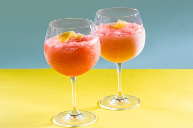 frosé recipe