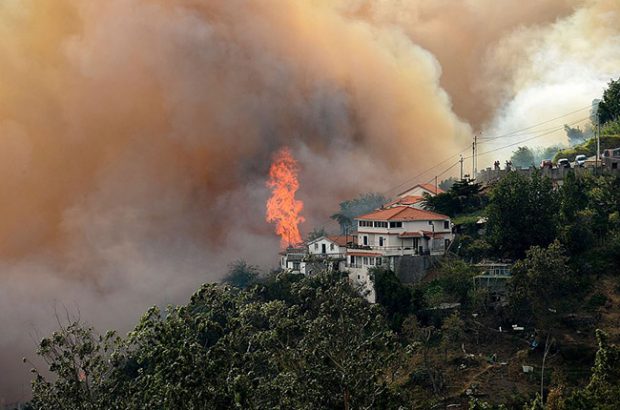 Portugal fire, Madeira fire