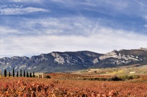 Torre de Oña, a 4.25-hectare Tempranillo vineyard