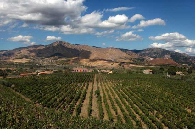 Top Volcanic Wines