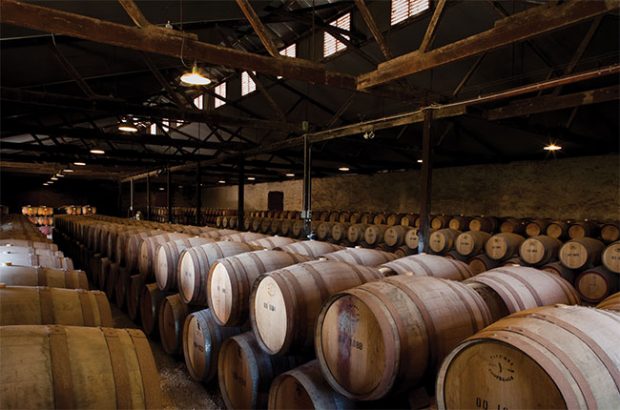 Yalumba's Octavius cellar, Barossa Valley.