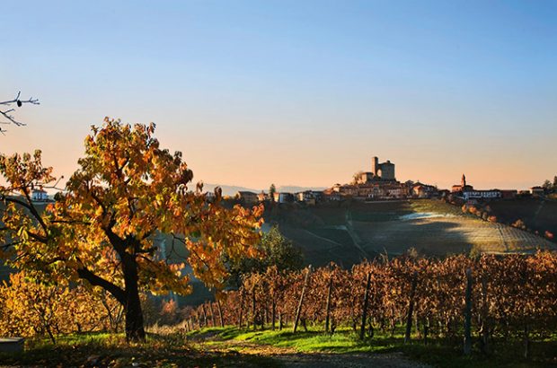 best barolo producers
