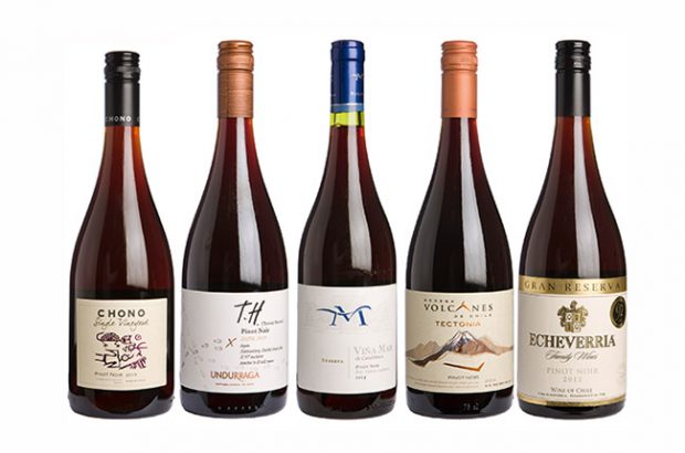 Best Chilean Pinot noir