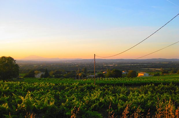 Southern Rhône 2012 vintage