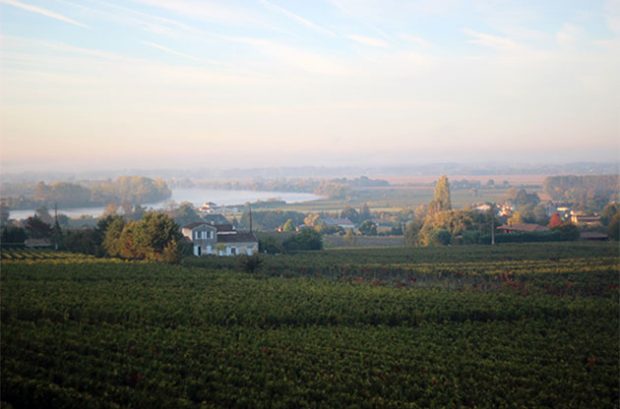 Château Gaby, bordeaux
