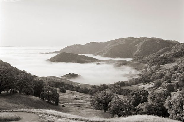 spring mountain district ava, napa valley