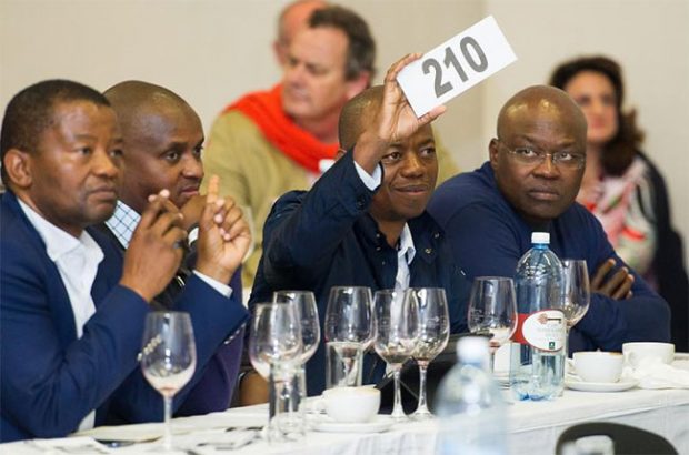 Cape Winemakers guild, south african wine auction