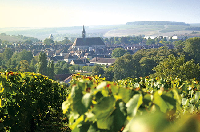 Chablis Wine Region Decanter