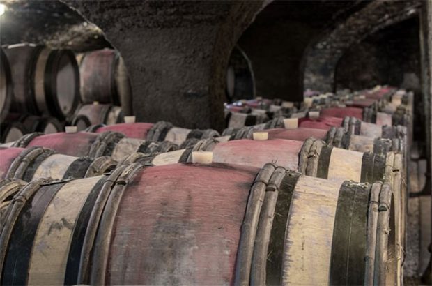 Barrels in the Maison Champy cellars