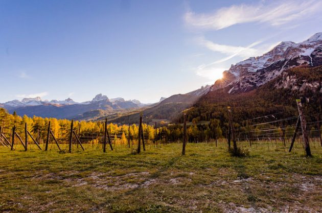 the venetian wine experience