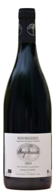 Bertrand Galbrun, Impétueuse 2014