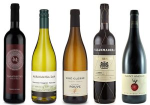 5 of the best Marks & Spencer wines this winter