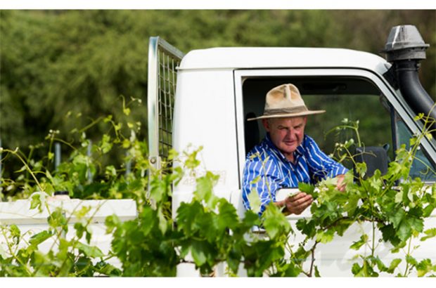 Australian Assyrtiko