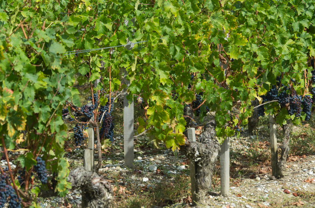 Bordeaux second wines