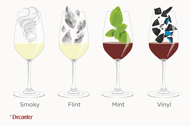 understand tasting notes