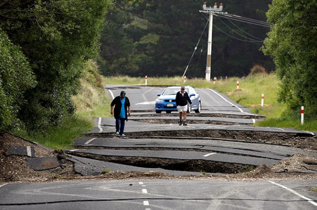 NZ earthquake, wine