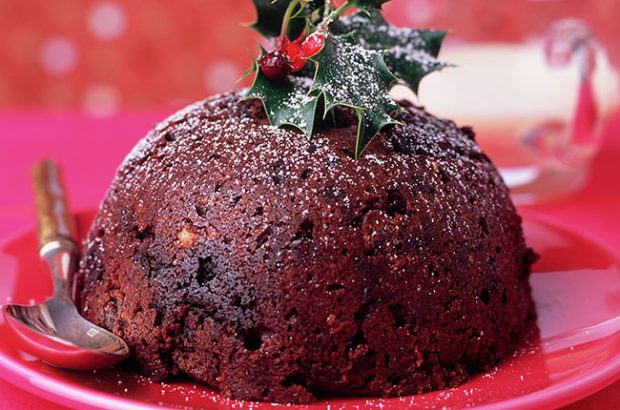 christmas pudding and wine