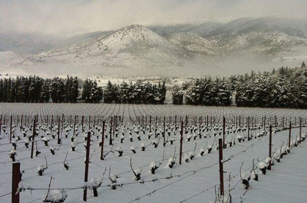 vineyards in lebanon