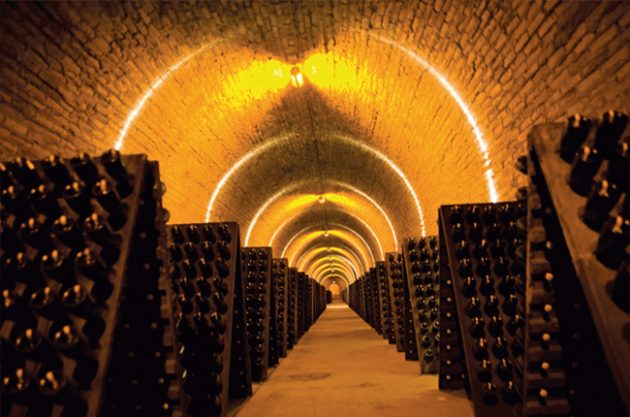 riddling racks in the Krug cellars