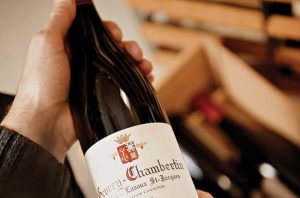 Burgundy 2015 red vintage