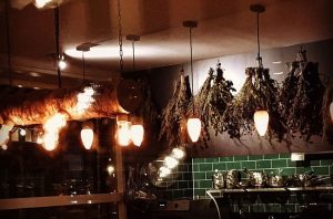 Scandinavian restaurants