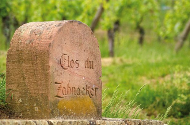 Ribeauvillé, alsace wine