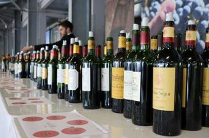 St-Estèphe 2016 wines