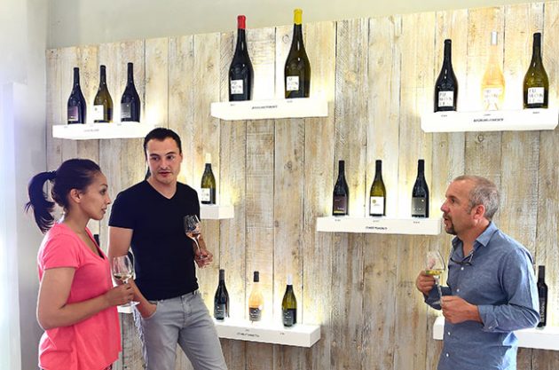 Corsica wineries