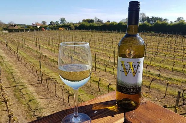 English wine, decanter awards, winbirri