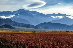 Uco Valley wines, Argentina Geographical Indications