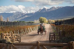 Cheval des Andes, Wines of Argentina