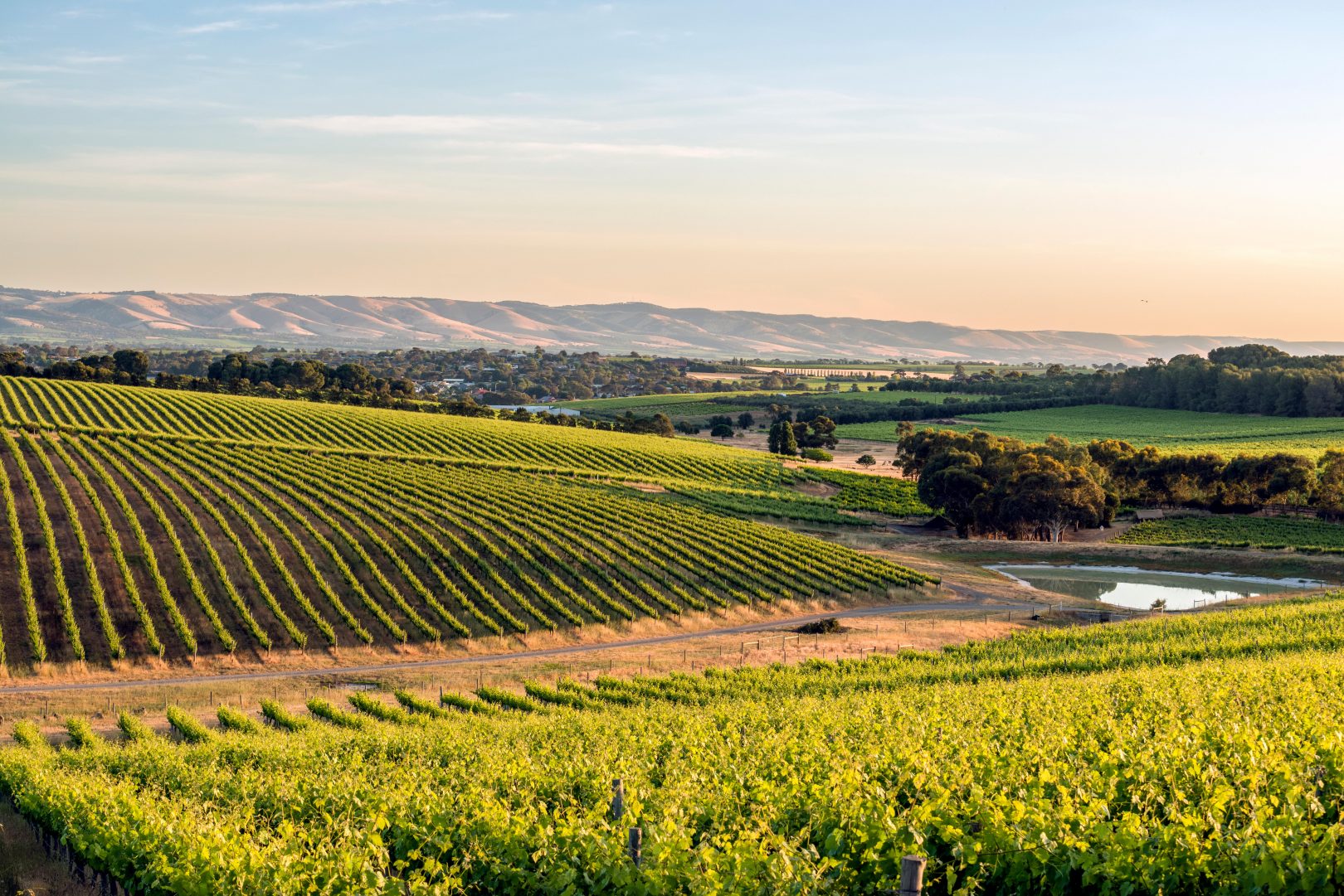 Best October holidays 2017 8 of the top wine tasting destinations