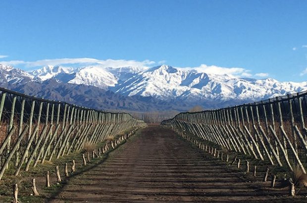 Terrazas de los Andes