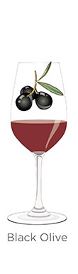 understand tasting notes