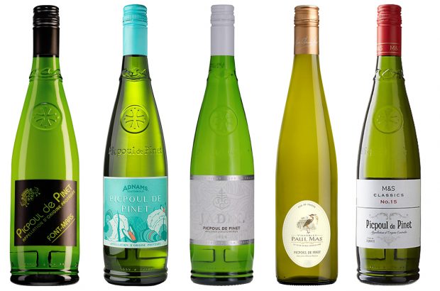 Five bottles of Picpoul de Pinet