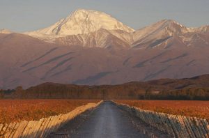 Terrazas de los Andes