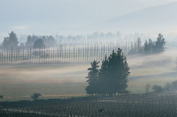 antinori, haras de pirque