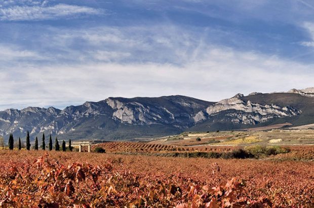 ワインラック   Astigarraga Rioja-36 5713275222378_1.jpg