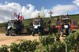 burgundy 2017 harvest