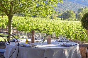 Wine harvest holiday, La Bastide de Marie
