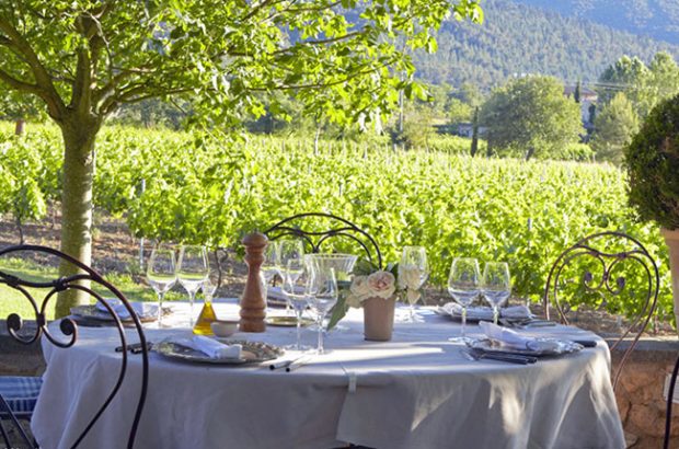 Wine harvest holiday, La Bastide de Marie