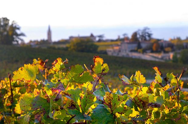 Bordeaux Right Bank 2015 wines