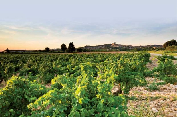 Châteauneuf-du-Pape