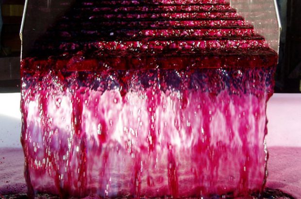 Dominique Léandre Chevalier